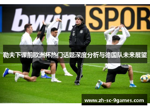 勒夫下课前欧洲杯热门话题深度分析与德国队未来展望