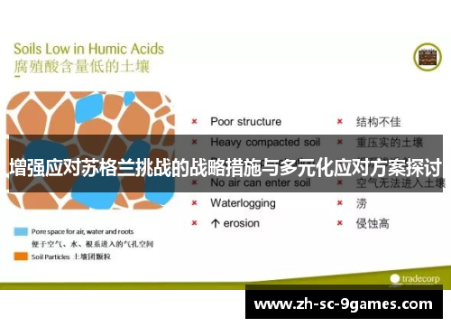 增强应对苏格兰挑战的战略措施与多元化应对方案探讨 增强应对苏格兰挑战的战略措施与多元化应对方案探讨