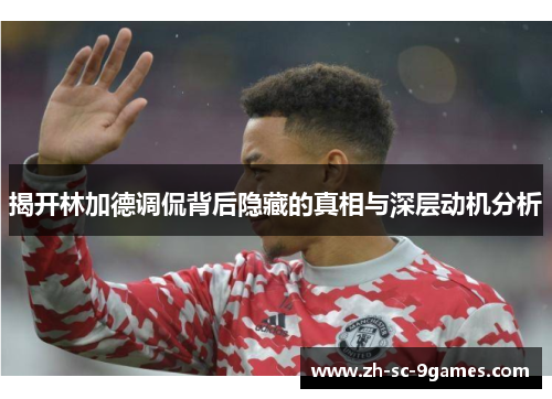 揭开林加德调侃背后隐藏的真相与深层动机分析