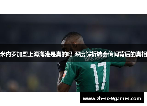 米内罗加盟上海海港是真的吗 深度解析转会传闻背后的真相